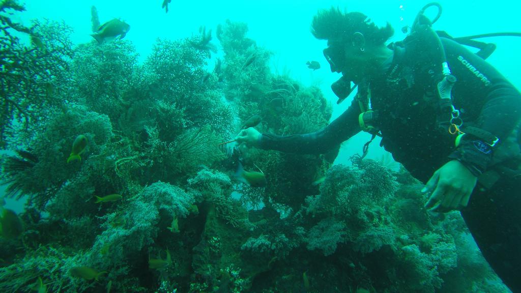 Ocean View Tulamben Dive & Resort Екстер'єр фото