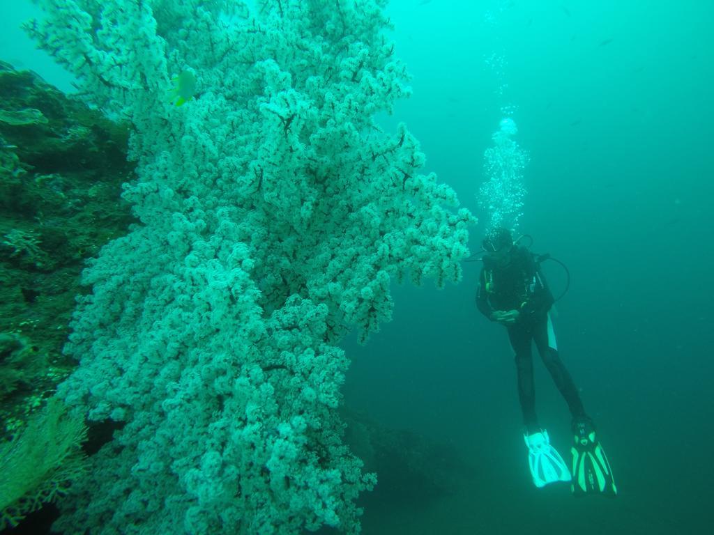Ocean View Tulamben Dive & Resort Екстер'єр фото